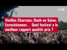 VIDÉO. Vieilles Charrues, Rock en Seine, Eurockéennes... Quel festival a le meilleur rapport