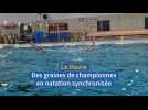 Le Havre a des graines de championnes en natation synchronisée