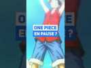 Pourquoi One Pièce est en pause ?