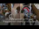 Ile-et-Vilaine : Un jeune garçon se filme en frappant son chien sur Snapchat