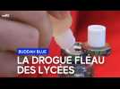 « Buddah blue » : la drogue fléau des lycées