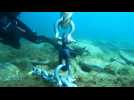 Vidéo sous-marine de l'installation d'une bouée (crédit Office français de la biodiversité)