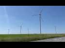 Le parc éolien du Chemin d'Avesnes à Iwuy a été inauguré