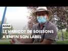 L'haricot de Soissons maintenant labellisé Indication géographique protégée (IGP)