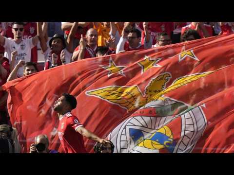 Benfica and Bayern grasp league titles in nail-biting final match day