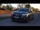Dacia Sandero Stepway Extreme Driving Video