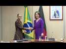 German FM Baerbock meets Brazilian Environment Minister in Brasilia