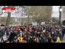 VIDÉO. Toujours un fleuve humain à Nantes pour la neuvième manifestation contre la réforme des retraites