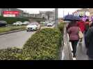 VIDÉO. Réforme des retraites : à Cherbourg, les automobilistes klaxonnent en soutien aux manifestants