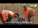 VIDEO. Près de Falaise, les chasseurs ramassent les déchets en forêt