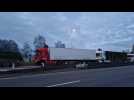 camionsrd point vaches