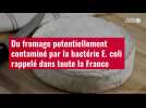 VIDÉO. Du fromage potentiellement contaminé par la bactérie E. coli rappelé dans toute la France