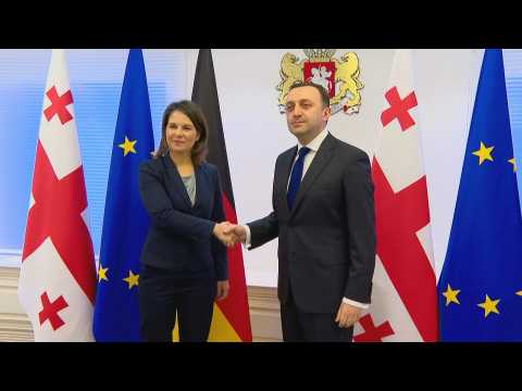 Georgian PM meets German FM in Tblisi after large pro-EU protests