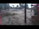 L'ouragan Hilary frappe le Mexique et provoque d'importantes inondations