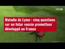 VIDÉO. Maladie de Lyme : cinq questions sur un futur vaccin prometteur développé en France