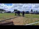 Nourard-le-Franc accueille le championnat de France de débardage à cheval