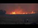 Canicule en Europe : incendies à Tenerife et en Grèce, la France en alerte orange