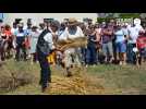 VIDÉO. Fête des battages à Saint-Nicolas-du-Tertre : le blé est battu à l'ancienne