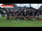 VIDÉO. Championnat du monde militaire de rugby à Vannes : le Haka néo-zélandais contre l'Irlande