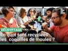 En quoi sont recyclées les coquilles de moules ?