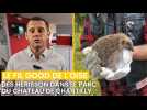 Fil good de l'Oise #31