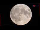 Les superbes images de la super Lune bleue qui n'apparaîtra plus avant 14 ans