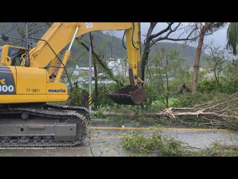 Trees uprooted after Typhoon Haikui batters Taiwan
