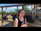 Zutkerque : Laury Caron est apprentie à la ferme des autruches