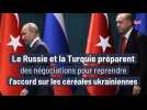 Le Russie et la Turquie préparent des négociations pour reprendre l'accord céréalier