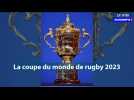 La coupe du monde de rugby 2023 débute ce 8 septembre