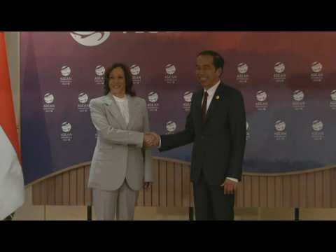Indonesia's Widodo meets US Vice President Harris