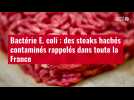 VIDÉO. Bactérie E. coli : des steaks hachés contaminés rappelés dans toute la France