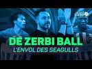 Brighton - Avec le De Zerbi-ball, les Seagulls s'envolent
