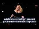 Adele interrompt son concert pour aider un fan dans le public