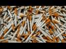 VIDÉO. Le gouvernement envisage d'augmenter le prix du paquet de cigarettes à 12 euros