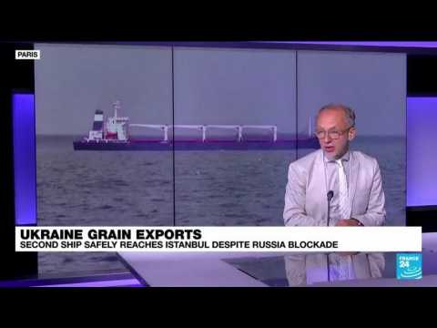 Ukraine grain exports: Second ship safely reaches Istanbul despite Russia blockade