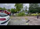 Hautmont : une automobiliste percute un arbre et un pylône dans le centre ville