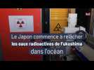 Le Japon commence à relâcher les eaux radioactives de Fukushima dans l'océan