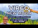 Virgo New Moon - Harvest Fresh Approaches 14/15 September + All Signs Forecasts...