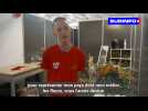 Demian, fleuriste aux Euroskills: 