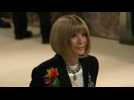 Anna Wintour poses for photographs at Met Gala
