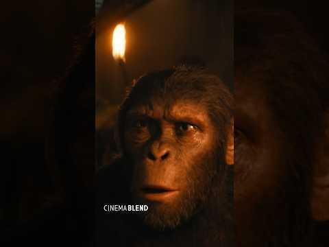 See 'Kingdom of the Planet of the Apes' In IMAX