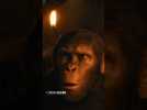 See 'Kingdom of the Planet of the Apes' In IMAX