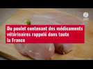 VIDÉO. Du poulet contenant des médicaments vétérinaires rappelé dans toute la France