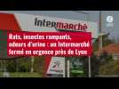 VIDÉO. Rats, insectes rampants, odeurs d'urine : un Intermarché fermé en urgence près de Lyon