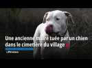 Nonagénaire tuée par un chien dans un cimetière du Gard : un élevage canin qui soulève des questions