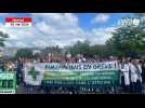 VIDÉO. En grève, plus de 600 pharmaciens défilent à Nantes ce jeudi