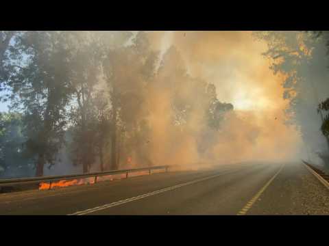 Brush fires sparked by rockets from Lebanon blaze in north Israel