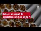 VIDÉO. Tabac : un paquet de cigarettes à 25 ¬ en 2040 ?