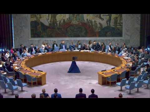 Security Council decides to withdraw UN mission from Iraq by end of 2025